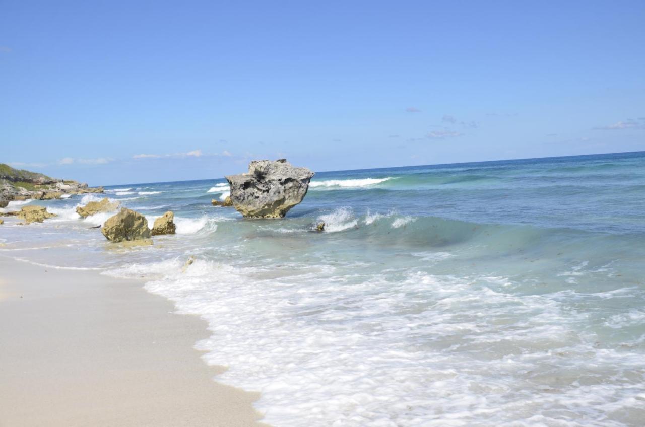 Ar Ocean View Apartments Isla Mujeres Dış mekan fotoğraf
